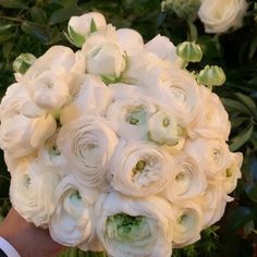 a person holding a bouquet of white flowers