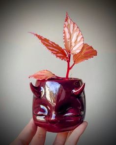 a hand holding a small glass vase with a plant in the shape of a pig