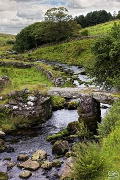 a small stream running through a lush green hillside covered in rocks and grass next to trees