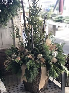 a potted plant sitting on top of a wooden bench next to pine cones and evergreens