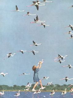 there is a woman that is flying in the sky with many birds around her and she is looking up into the sky