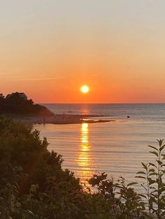 the sun is setting over the ocean with trees in front of it and people out on the water