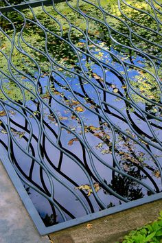 the reflection of trees in the water is seen through an iron fence with leaves on it