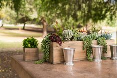 there are many succulents and plants in the wooden box on the table