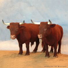 two brown cows standing next to each other on top of a sandy ground with blue sky in the background