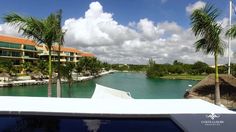 a view of the water and palm trees from an apartment building in coral bay, florida