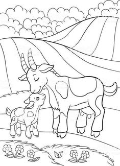 a mother cow and her calf in the field coloring page for children stock photo 5479