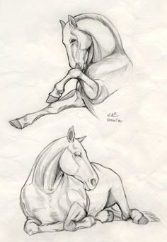 two drawings of horses laying down and one standing on the ground with its head turned to the side