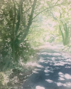 an image of a painting of trees and sunbeams in the woods on a sunny day