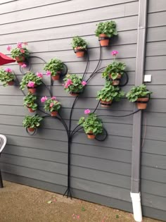 there is a tree with potted plants on the side of the house and an umbrella next to it