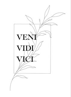 the words vein vidi vicci in black and white