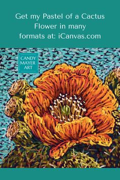 an orange flower with the title get my pastel of a cactus flower in many formats at canvas com