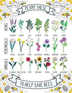 bees and flowers with the words plant these to help save bees