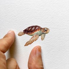 a hand holding a piece of paper with an image of a sea turtle on it