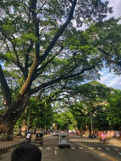 a truck driving down a street next to a tall green tree with lots of leaves on it