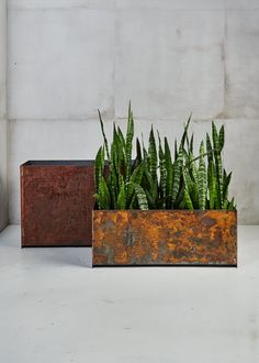 two planters with green plants in them sitting on a white counter top next to each other