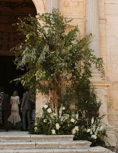 a group of people standing outside of a building next to a tree and flowers on the steps