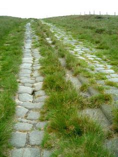 a stone path in the middle of a grassy field