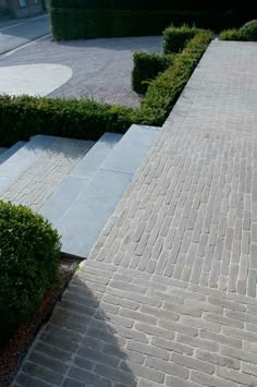 a person riding a skateboard down a brick walkway next to bushes and hedges on either side of the sidewalk