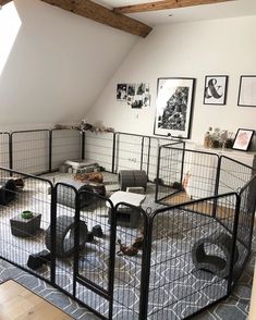 there is a cage in the middle of a room with pictures on the wall behind it