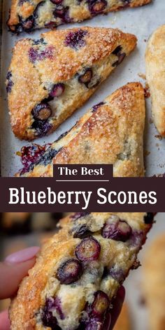 the best blueberry scones ever