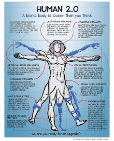 the human body is closer than you think, and it's important to understand