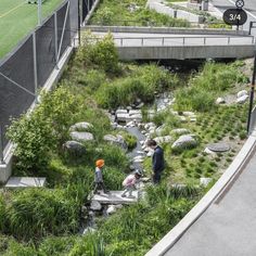 two people are walking up some steps near a river and bridge with grass growing on it