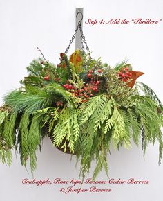 a hanging basket filled with evergreen and red berries