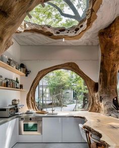 the kitchen is surrounded by trees that have been cut open to make it look like they are