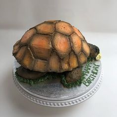 a cake made to look like a tortoise shell with grass on the bottom