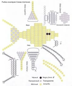 the diagram shows how many different structures are arranged in order to make it look like they have