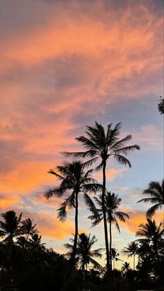 palm trees are silhouetted against an orange and blue sky