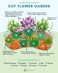 a garden with flowers and plants labeled in the words cut flower garden on top of it