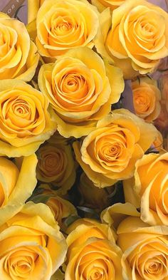 a bunch of yellow roses sitting in a vase