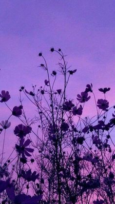 the silhouette of trees and flowers against a purple sky with clouds in the back ground