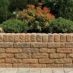 Garden Retaining Walls & Features These stone blocks are ideal for all types of garden walls and landscaping architecture. Not only do they provide the right facing aesthetic for traditional stone construction, but because they are structural building material, they are as versatile and construction blocks.  Retaining Walls & Terraces Boundary Walls & Fence Piers Gate Post Columns/Pillars Knee, Pony and Parapet Walls Plinths/Bases Wells/Follies/Belvederes Raised Beds Seating & Bench Pedestals Housebuilding/Extensions Edging & Borders  Tumbled Finish Rustic/Traditional Walling Burford Garden Walling is designed to have a traditional, rustic appearance. The blocks have a tumbled finish, meaning that the edges have been softened and rounded off. This gives the blocks a more realistic resembla Garden Retaining Walls, Garden Retaining Wall, York Stone, Knee Wall, Sandstone Paving, Stone Blocks, Boundary Walls, Rustic Traditional, Grey Gardens