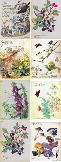 four different pictures of flowers and birds in various stages of growth, from the beginning to the end of the 20th century