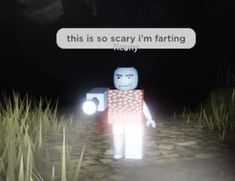 a lego man standing in the middle of a field at night with text reading, this is so scary i'm farting