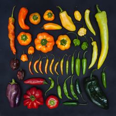 several different types of peppers on a blue surface