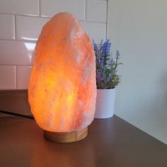 a himalayan salt lamp on a table next to a potted plant