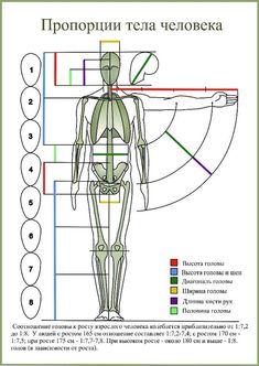 an image of the human body with labels on it and numbers in different languages, including names