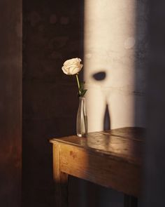 a single white rose in a glass vase on a wooden table with sunlight coming through the window