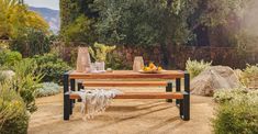 a wooden bench sitting in the middle of a dirt field next to trees and bushes