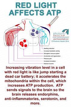 Red Light Therapy Benefits, Infrared Light Therapy, Sauna Benefits, Strengthen Immune System, Effortless Look, Infrared Light, Anti Aging Oils, Led Light Therapy, Laser Therapy