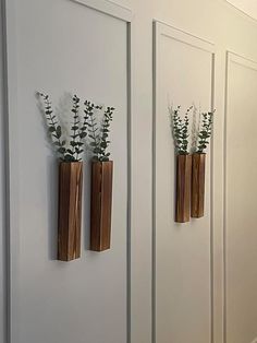 three wooden vases with plants in them are hanging on the wall next to each other