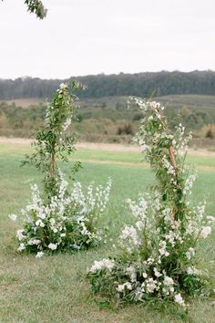 two white flowers are in the grass near some trees and bushes with green leaves on them