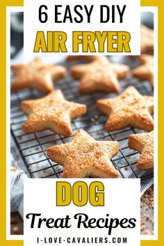 homemade air fryer dog treats on a cooling rack with text overlay that reads 6 easy diy air fryer dog treat recipes