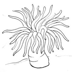 a drawing of an octopus in a vase