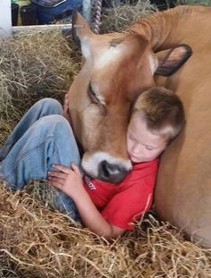 a young boy cuddles with a cow in a hay filled pen on the farm