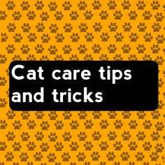 the words cat care tips and tricks on an orange background with brown dog paw prints